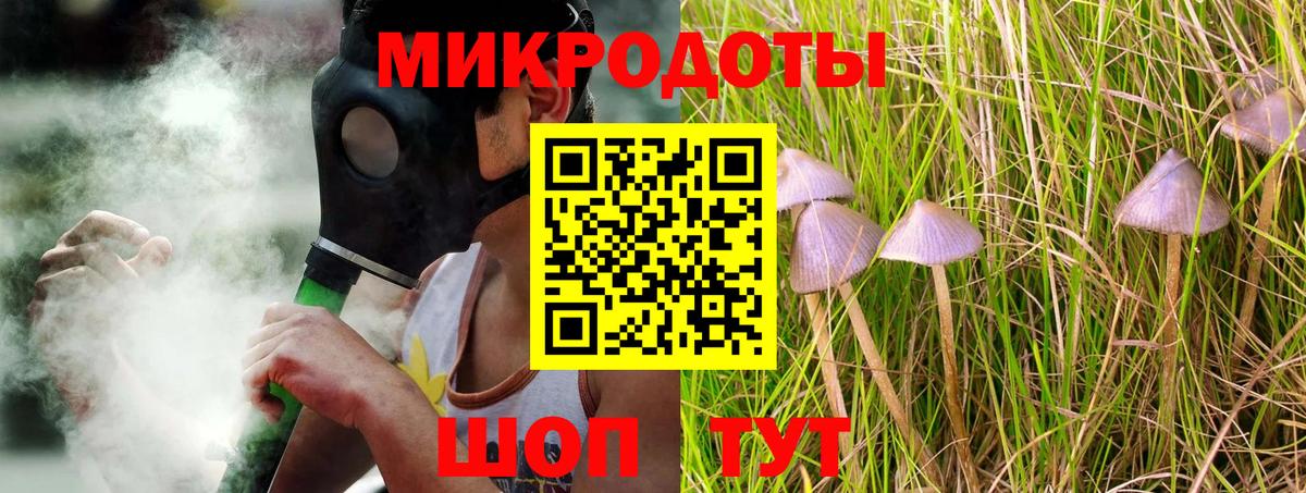 Псилоцибиновые грибы мицелий Семёнов